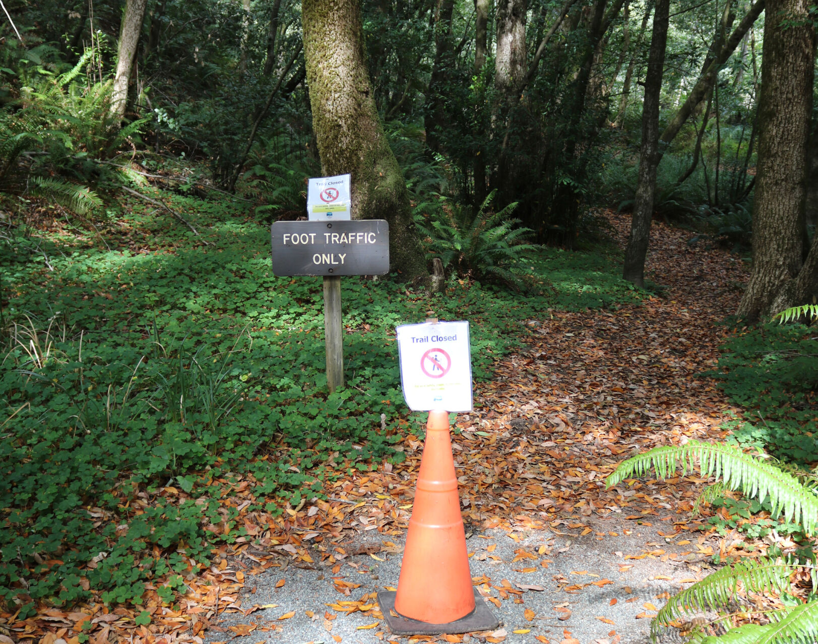 Trail Closed